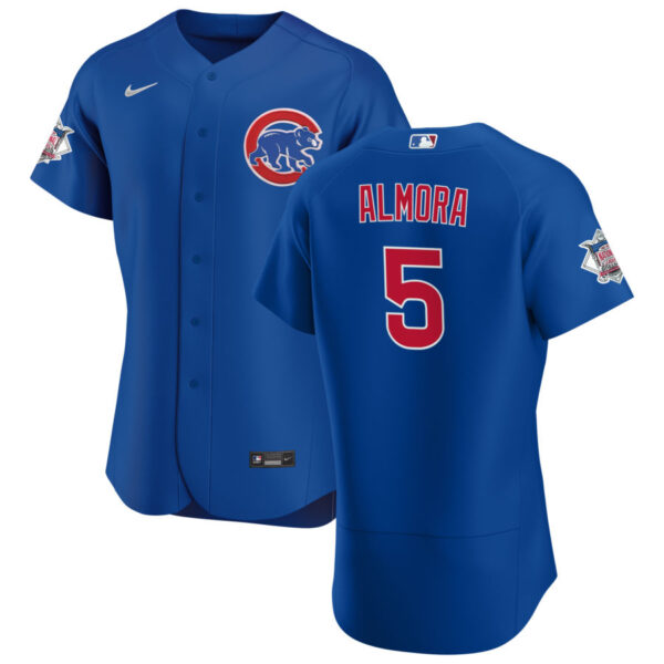 Chicago Cubs #5 Albert Almora Jr. Men's Nike Royal Alternate 2020 Authentic Player Jersey